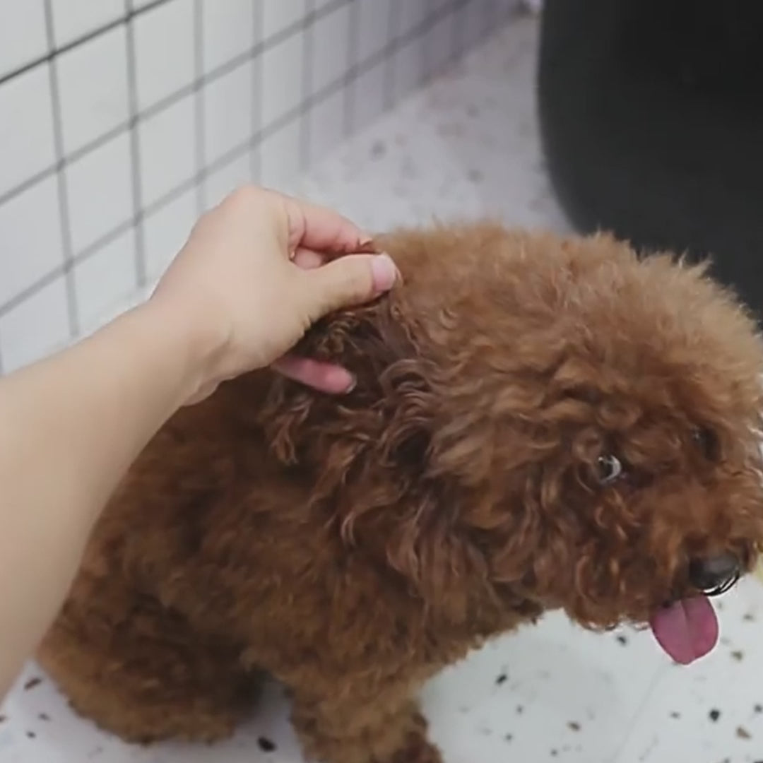 Smart 3-in-1 Pet Steam Brush